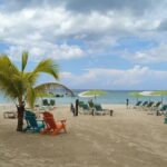 Negril 7 Mile Beach and Rick's Cafe day tour from Montego Bay - Practical Tips for Making the Most of This Tour