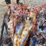 Negril: 7-Miles Beach & Rick's Cafe Sunset Experience - The Value Proposition