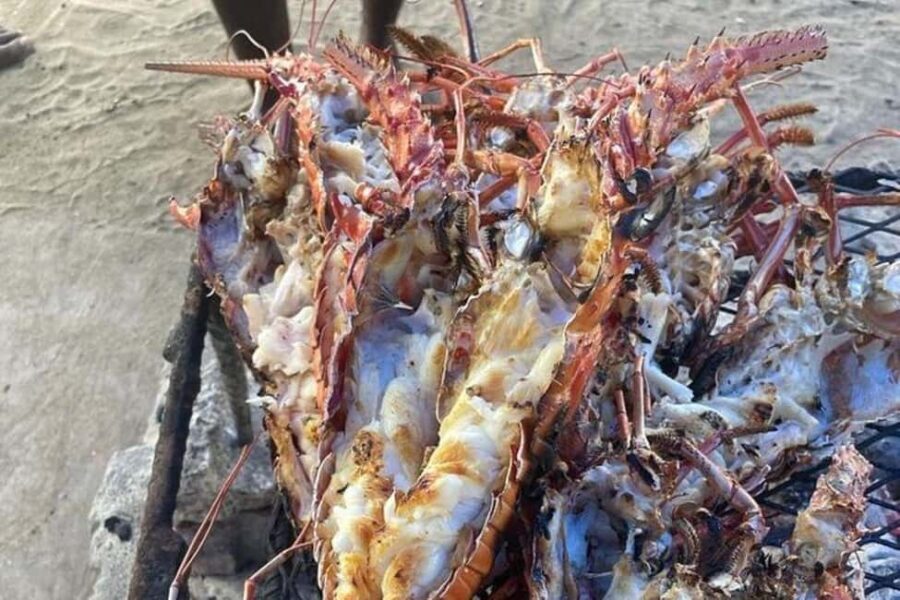 Negril: 7-Miles Beach & Rick's Cafe Sunset Experience - The Value Proposition