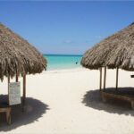 Negril Beach & Rick's Cafe Tour - Why This Tour Works Well for You