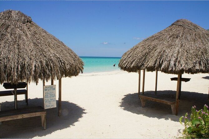 Negril Beach & Rick's Cafe Tour - Why This Tour Works Well for You