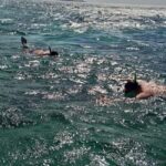 Negril: Booby Cay Island Picnic Tour with Snorkeling - An In-Depth Look at the Booby Cay Island Picnic Tour