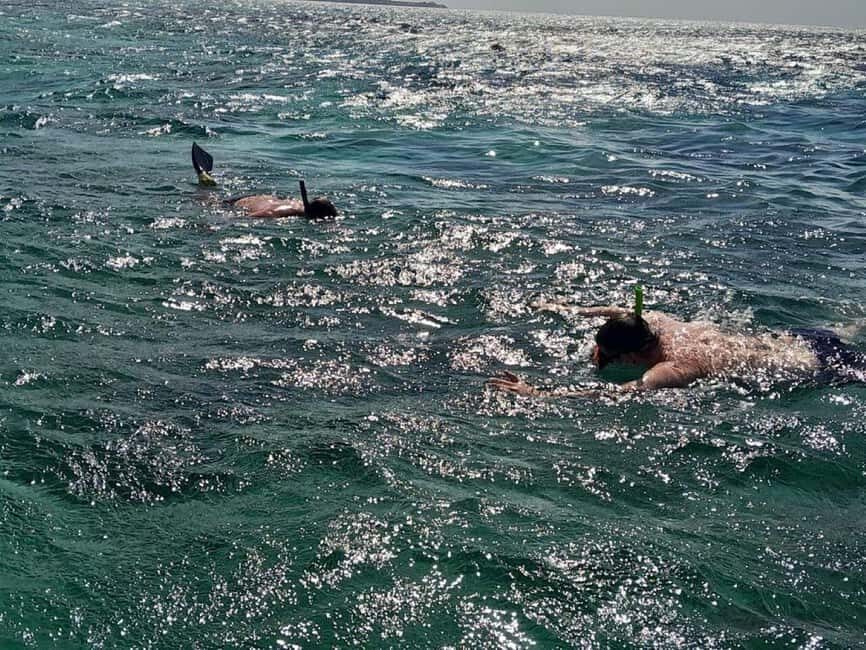 Negril: Booby Cay Island Picnic Tour with Snorkeling - An In-Depth Look at the Booby Cay Island Picnic Tour