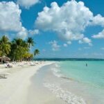 Negril Day Trip to Seven Mile Beach & Rick's Cafe with Admission from Falmouth - Authentic Traveler Insights