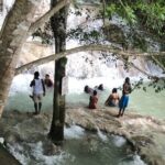 Negril to Dunn's River Small Group Tour - A Deep Dive into the Experience