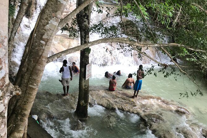 Negril to Dunn's River Small Group Tour - A Deep Dive into the Experience