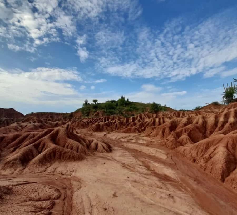 Neiva: Guided Day Trip to the Tatacoa Desert with Lunch - Practical Details and Tips for the Tour
