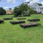 Nevis Island Historical Private Tour - An In-Depth Look at the Nevis Island Historical Private Tour