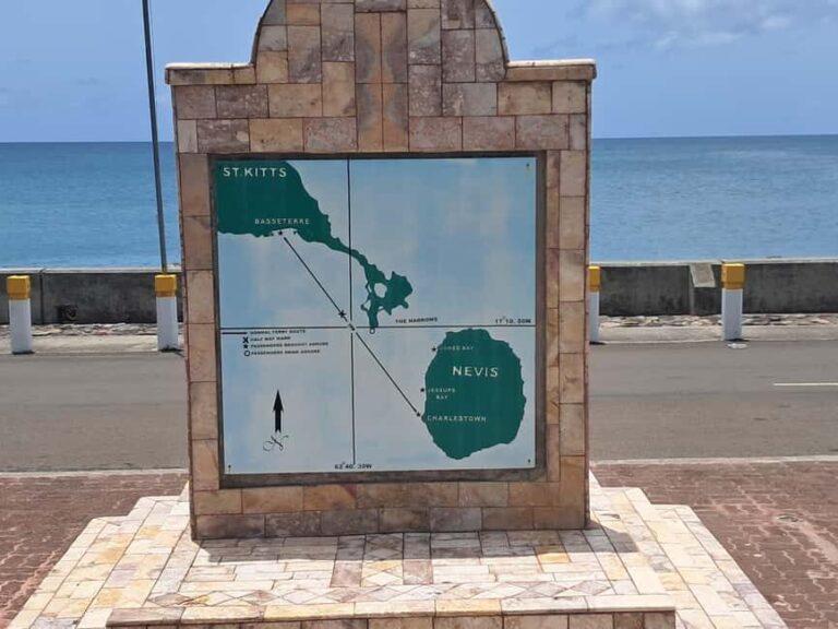 Nevis: Island Tour with Hot Springs and Historical tour - What Travelers Say