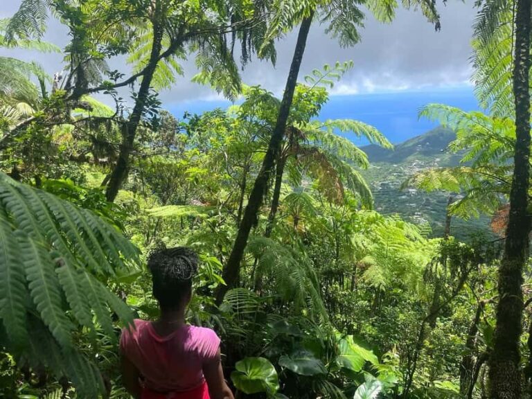 Nevis Peak Hike - Key Points