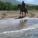 Nevis: Private Horseback Ride and Swim in the Caribbean Sea - Final Thoughts: Is This the Right Experience for You?