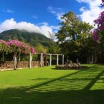 Nevis Roundtrip Ground Transfers (Reconfirm 48 hrs) - The Sum Up: Why This Transfer Service Makes Sense