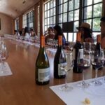 New Concha y Toro Tour Marques with class, extra tasting y food - Who Should Consider This Tour?