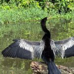 Night Adventure, Canoe and Trail in Tortuguero - Why This Tour Truly Shines