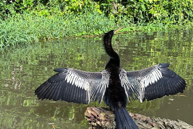Night Adventure, Canoe and Trail in Tortuguero - Why This Tour Truly Shines