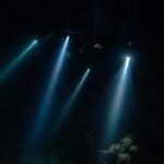 Night dive at Tugboat Beach in Curacao - What to Expect During the Dive