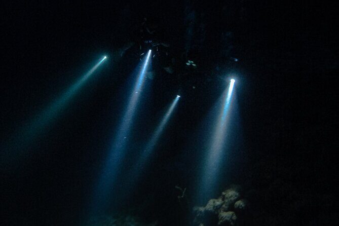Night dive at Tugboat Beach in Curacao - What to Expect During the Dive