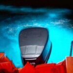 Night Excursion Experience at Luminous Lagoon - Exploring Jamaicas Luminous Lagoon Night Tour in Detail