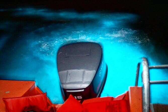 Night Excursion Experience at Luminous Lagoon - Exploring Jamaicas Luminous Lagoon Night Tour in Detail