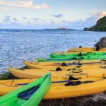 Night Kayaking Experience on Bioluminescent Lagoon in Fajardo - Pricing & Value Analysis