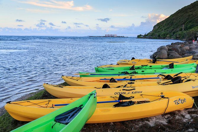 Night Kayaking Experience on Bioluminescent Lagoon in Fajardo - Pricing & Value Analysis