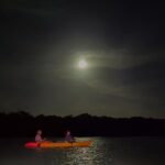 Night Mangrove Kayak Tour - Practical Details for Planning Your Night Kayak Tour