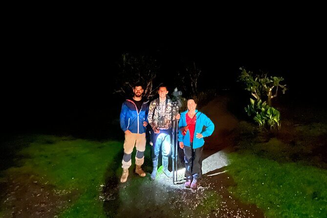 Night walk among the natural jewels of Monteverde - Exploring the Night Walk in Monteverde’s Cloud Forest