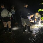 Night Walk Tour and Jungle Dinner in Jaco - Who Will Love This Experience?