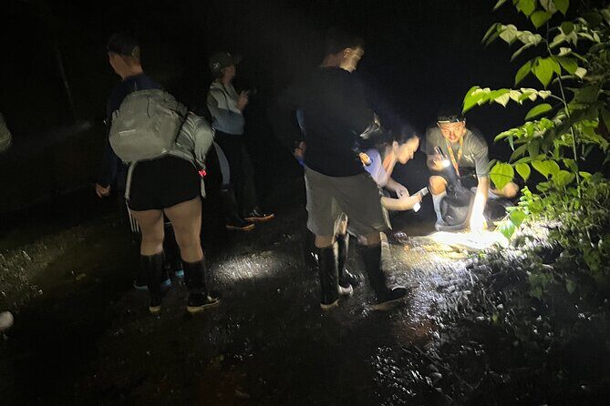 Night Walk Tour and Jungle Dinner in Jaco - Who Will Love This Experience?