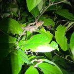 Night walking tour, Night Walk. - Why This Tour Resonates