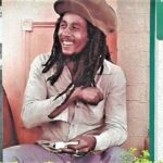 Nine Mile and Dunn's River Falls Day Trip from Montego Bay & Grand Palladium - Practical Tips for Making the Most of the Tour