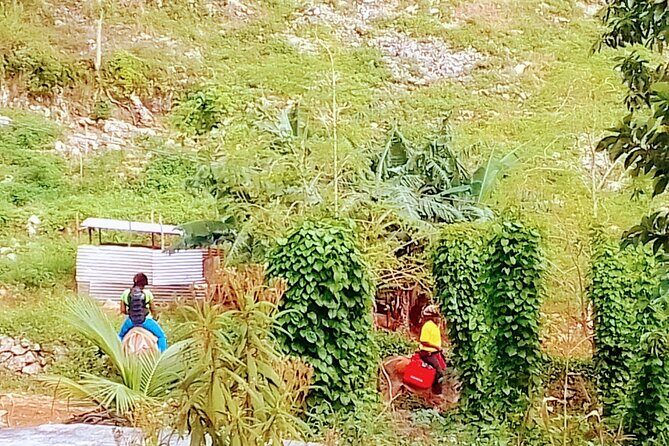 Nine Mile Ocho Rios Natural Attraction Tour - The Complete Breakdown of the Tour