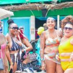 Nirvana Private Beach & Restaurant Round Trip Transportation - An In-Depth Look at the Nirvana Private Beach & Restaurant Tour