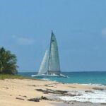 No1Sxm Half Day Sail Snorkeling and Sunset Experience - An In-Depth Look at the Experience