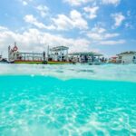 Noah's Ark Beach Club Tour on a Private Catamaran - Why Choose This Tour?