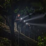 Nocturnal Walk in the Hanging Bridges - Who Should Consider This Tour?