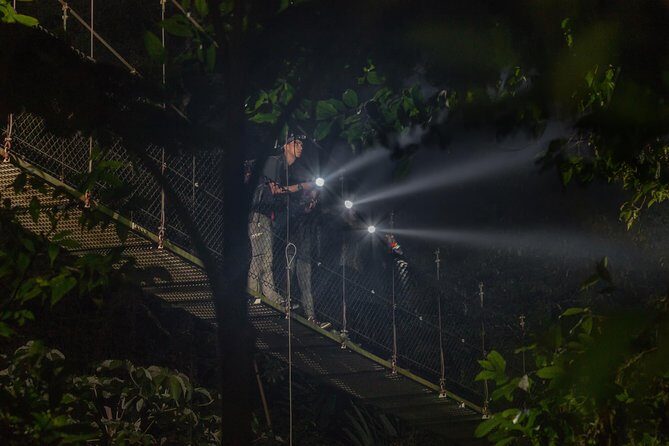 Nocturnal Walk in the Hanging Bridges - Who Should Consider This Tour?