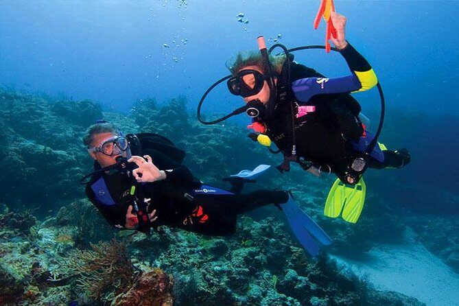 Non Certified Diving Experience plus Transportation - Dive Into Roatan’s Underwater World with Confidence