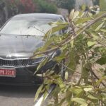 Norman Manley Airport to Strawberry Hills - Who Should Consider This Transfer?