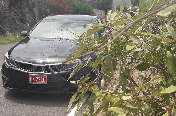 Norman Manley Airport to Strawberry Hills - Who Should Consider This Transfer?