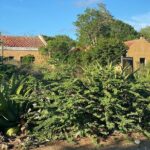 North and South Tour with Elgin a Local Guide - Who Is This Tour Best Suited For?