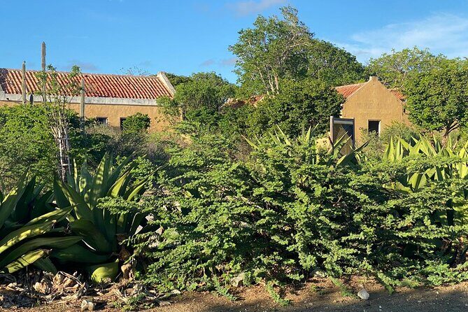 North and South Tour with Elgin a Local Guide - Who Is This Tour Best Suited For?