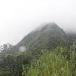 North Caribbean Tour in Martinique - A Deep Dive into the North Caribbean Tour in Martinique