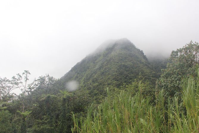 North Caribbean Tour in Martinique - A Deep Dive into the North Caribbean Tour in Martinique