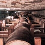 North Part Of Martinique Island Private Tour - Final Thoughts