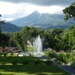 North Tour: rainforest, rum distillery, black sand beach etc - Practical Considerations and Tips