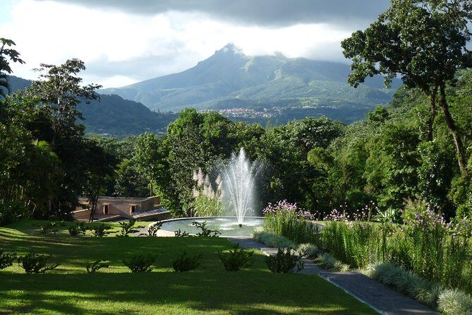 North Tour: rainforest, rum distillery, black sand beach etc