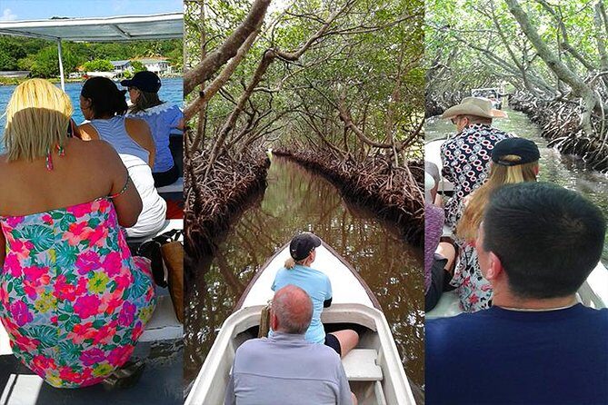 Oak Ridge The Venice of Roatan - An In-Depth Look at the Roatan East End Tour