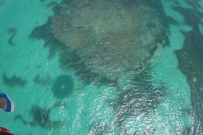 Occidental Caribe - Round Trip Shuttle - Punta Cana Airport - Who Will Benefit Most?