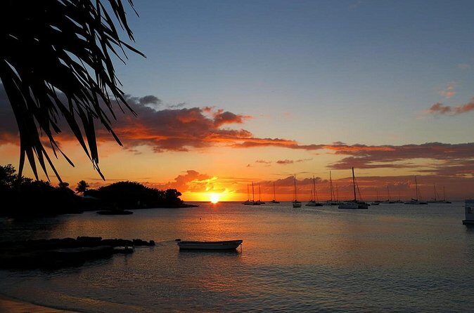 Ocean El Faro Resort - Round Trip Shuttle - Punta Cana Airport - Who Is This Service Best For?